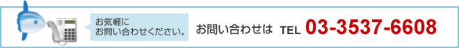 お問い合わせは 03-3537-6608